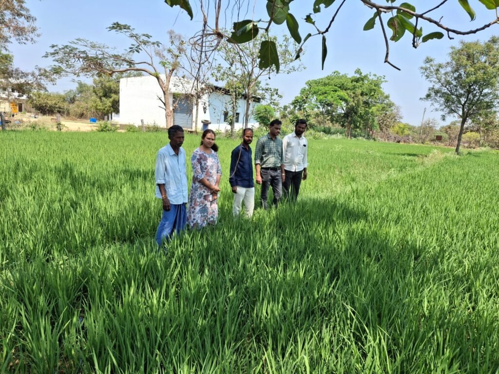 పెద్ద శివనూర్ గ్రామంలో డిజిటల్ పంటల సర్వే.