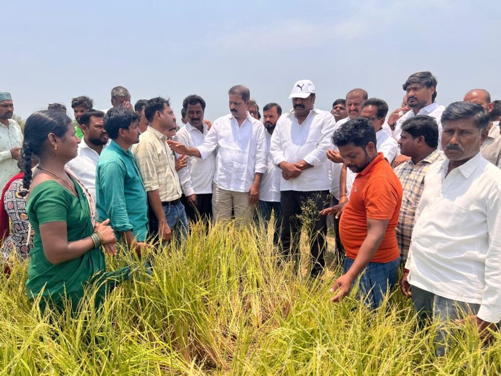 రైతులను ఆదుకుంటాం చెరుకు శ్రీనివాస్ రెడ్డి-అకాల వర్షంతో అన్నదాత గుండెకు గుబేలు.