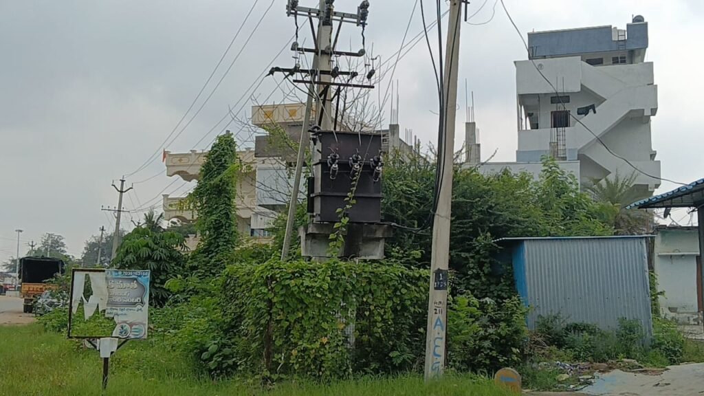 పిచ్చిమొక్కల మధ్య ట్రాన్స్‌ఫార్మర్.. ప్రమాదం పొంచి ఉందా?